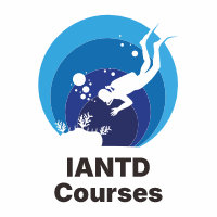 iantdcourses-logo